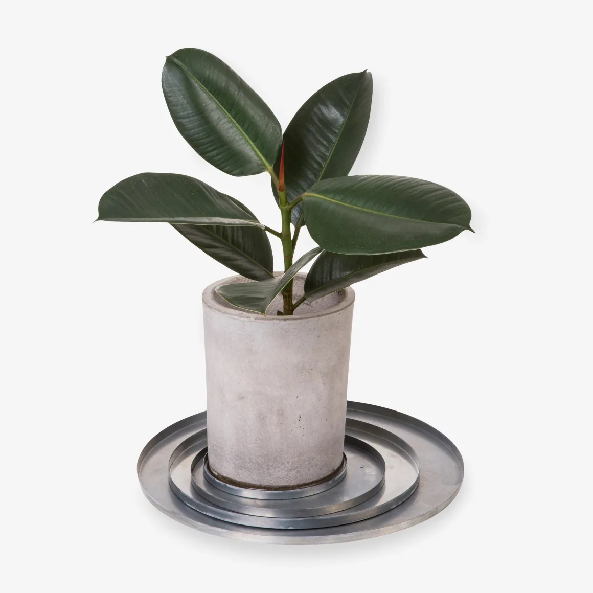 Krukfat Zink 30cm